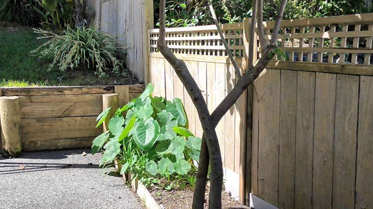 43 Central Park Drive Te Atatu South_10