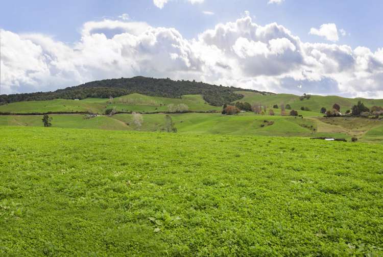 Piakonui Road Matamata MatamataPiako Rural Property For Sale