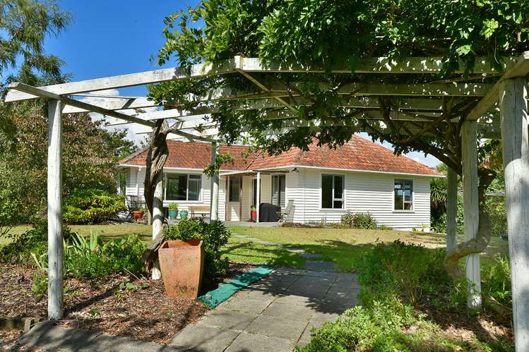 130 Shanks Road Helensville_19