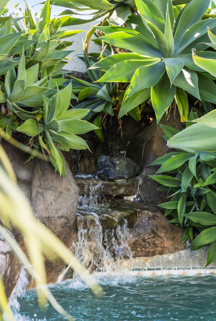 11 Renway Rise Somerville_38