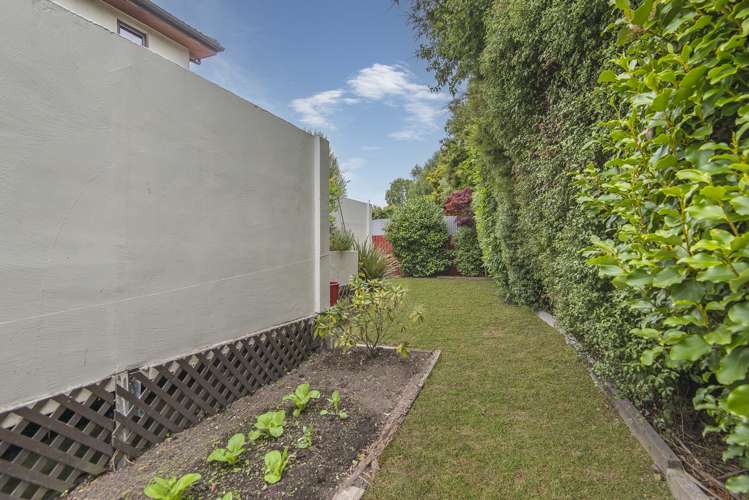 24a Wayside Avenue Burnside_18