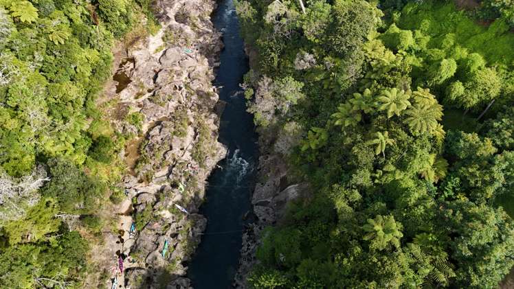 112 Ruahihi Road Lower Kaimai_22