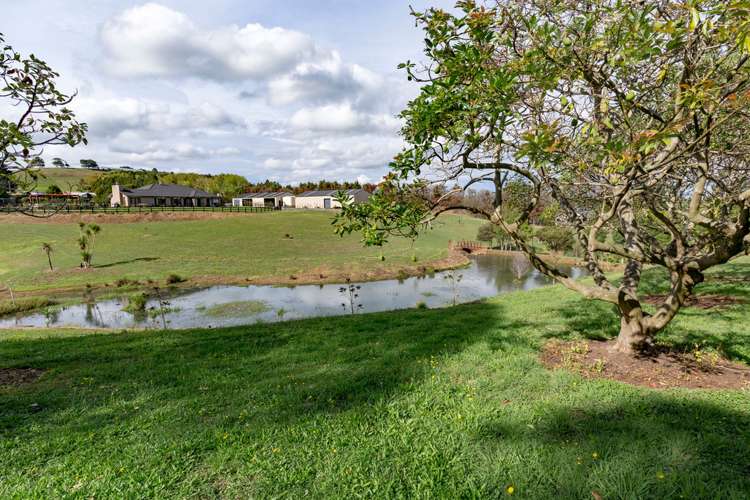 136 Wily Road Puni_19