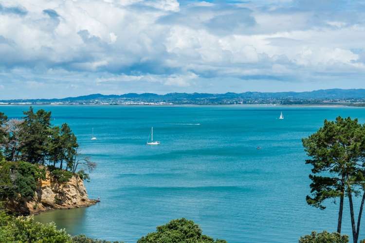 71 Rosecamp Road Beach Haven_5