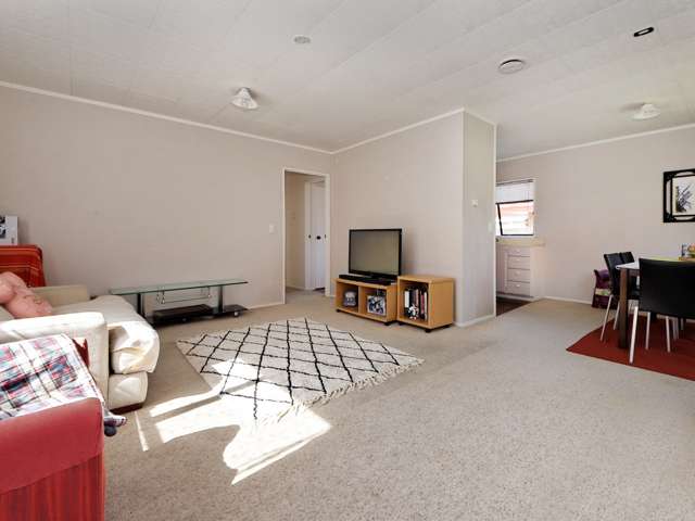 51b Canal Road Avondale_4