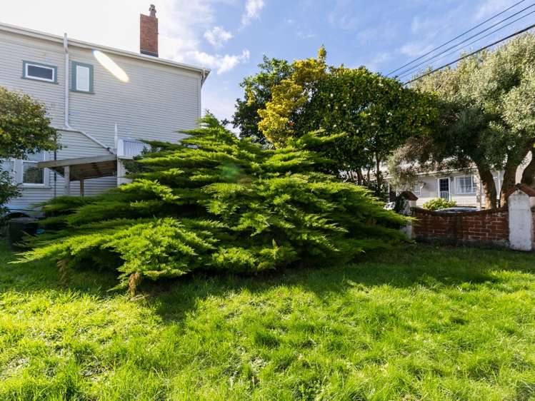 53 Roxburgh Street Mount Victoria_5