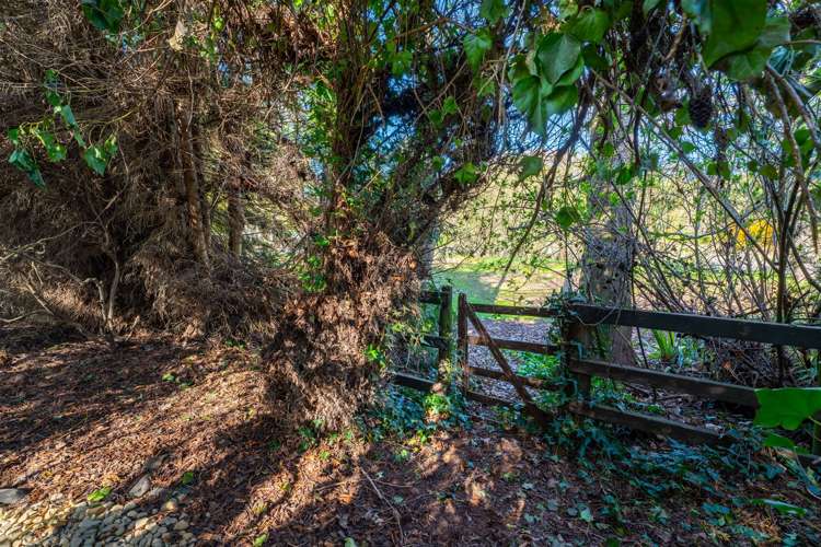 49 Mckenzie Street Geraldine_16