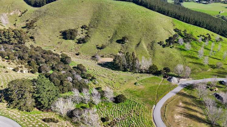 24 Sinclair Way Martinborough_4