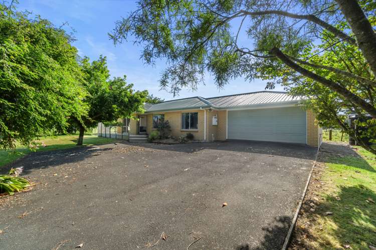 690 Frontier Road Pirongia_9