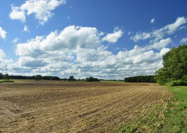 Prime Residential Land in Pukekohe