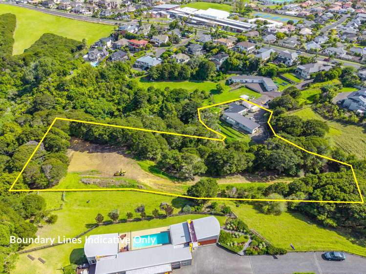 56 Somerville Road Shelly Park_5