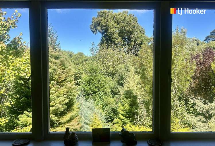 5 Broomlea Street Wakari_6