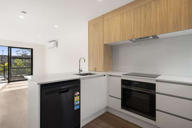 43 Jabuka Street Glen Eden_3