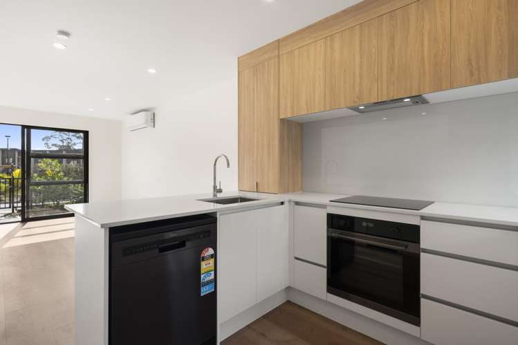43 Jabuka Street Glen Eden_2