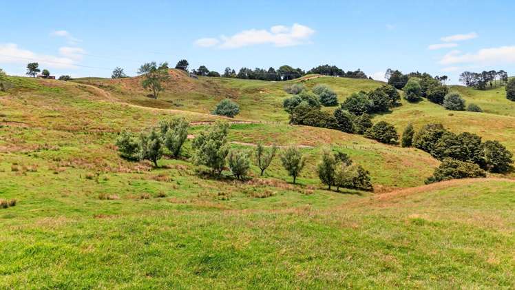 Lot 2 & 3 Otioro Road Kaiwaka_14