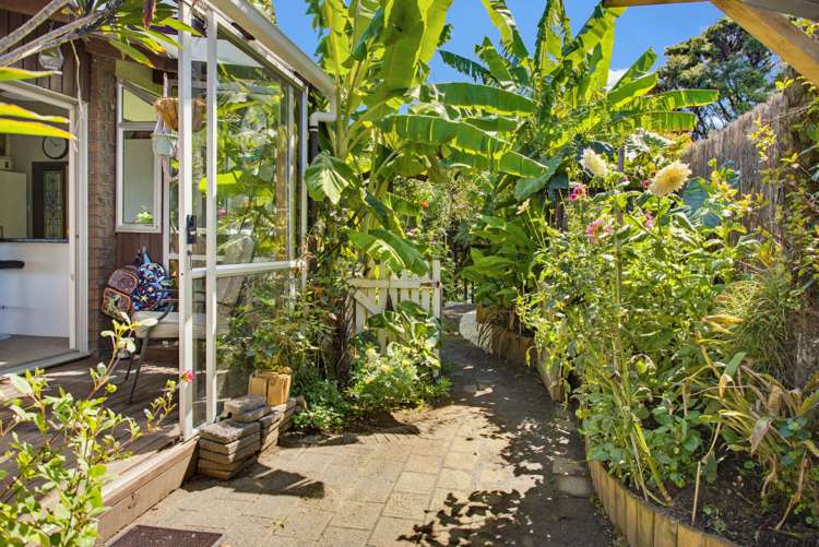 6 Punga Place Whitianga_22