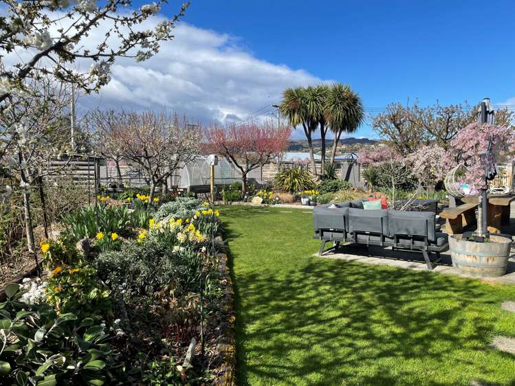 26 Eureka Street Alexandra_23