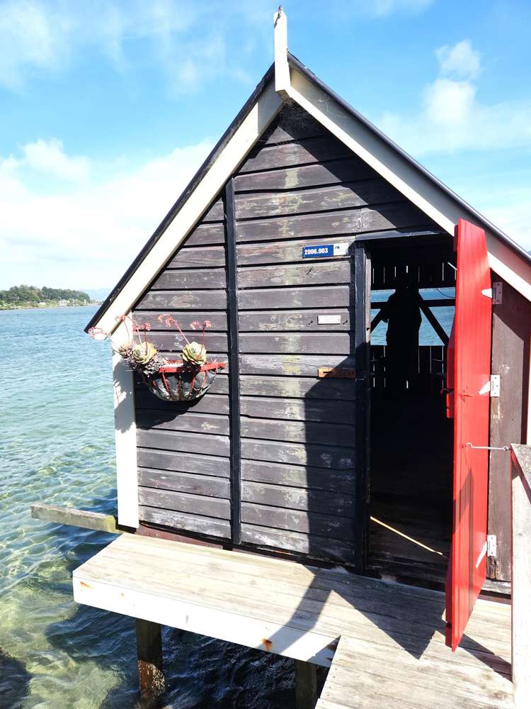 2006.003 Boat Shed - Harington Point Road Otakou_14