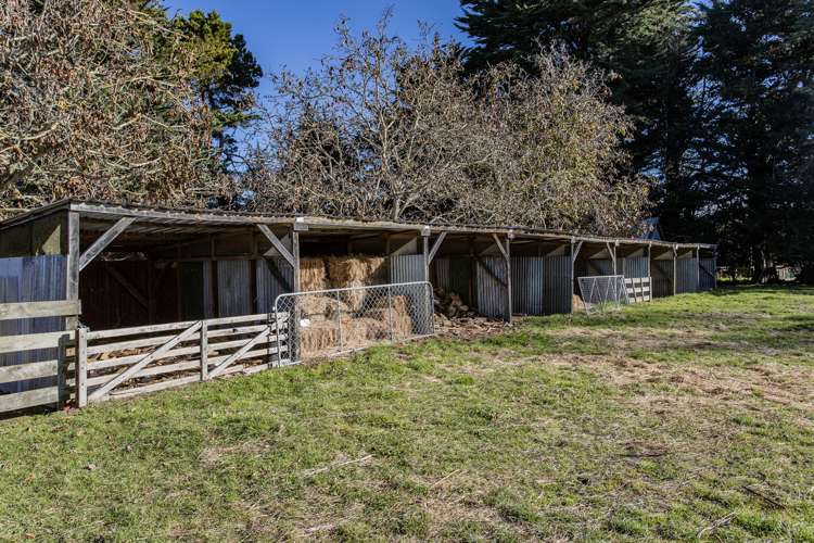 501 Pesters Road West Eyreton_19