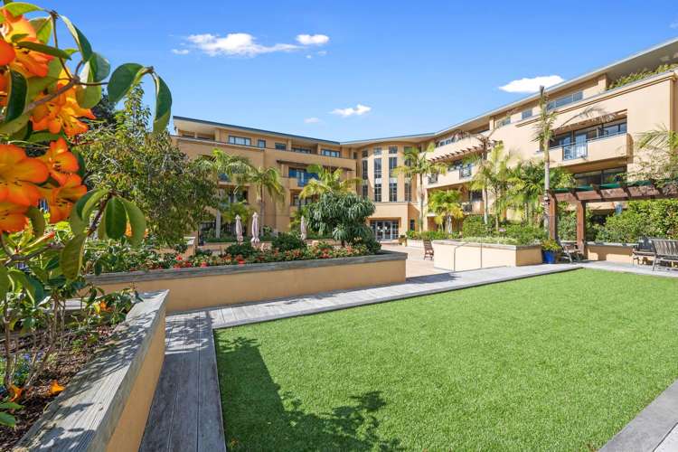 2H/9 Bute Road Browns Bay_12