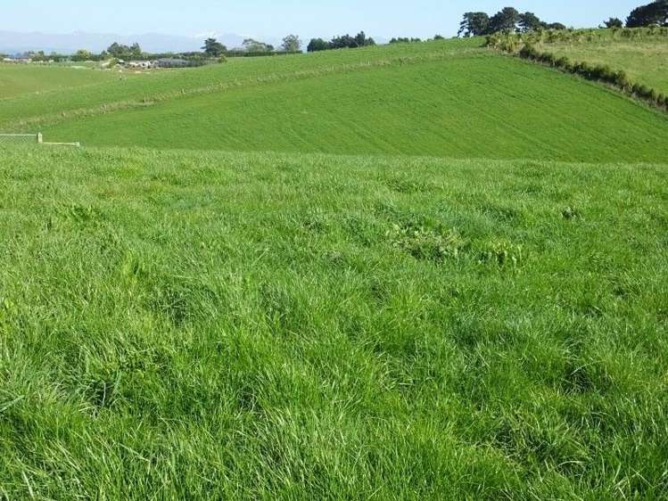 6/102 Beach Road Oamaru_5