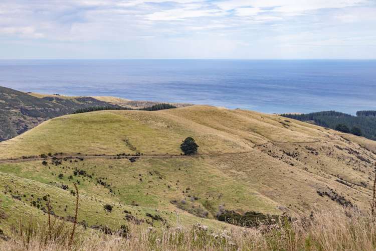 3 Robin Hood Bay Road Little River_21