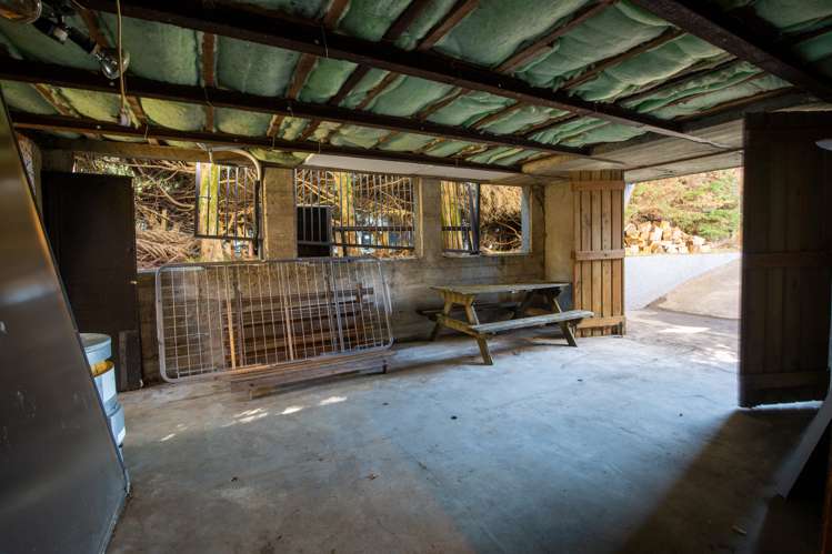 59 Beach Road Tahunanui_22