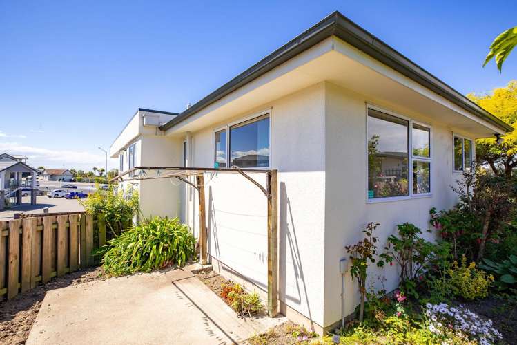 1/4 Beverley Road Maori Hill_33