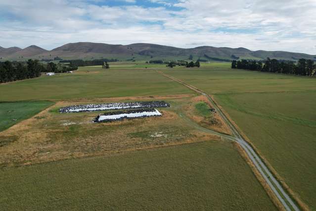 1000 Mossburn Lumsden Highway Mossburn_4