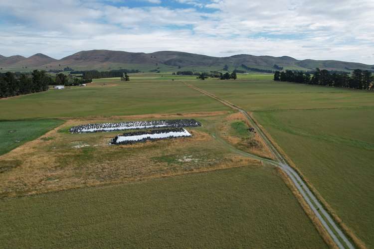 1000 Mossburn Lumsden Highway Mossburn_4