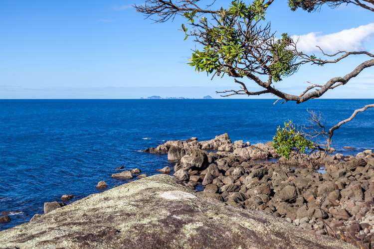 17 Pye Place Hot Water Beach_25