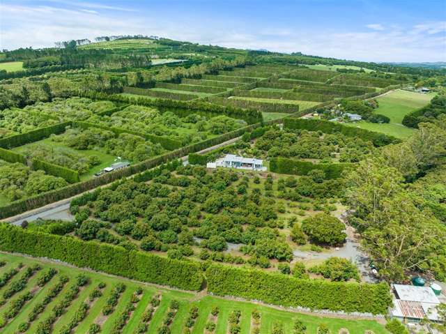 485 Mangakahia Road Maungatapere_1