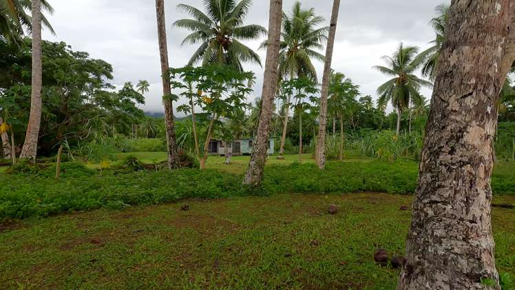 Tuvutuvurara, Wailevu West, Savusavu Vanua Levu_7