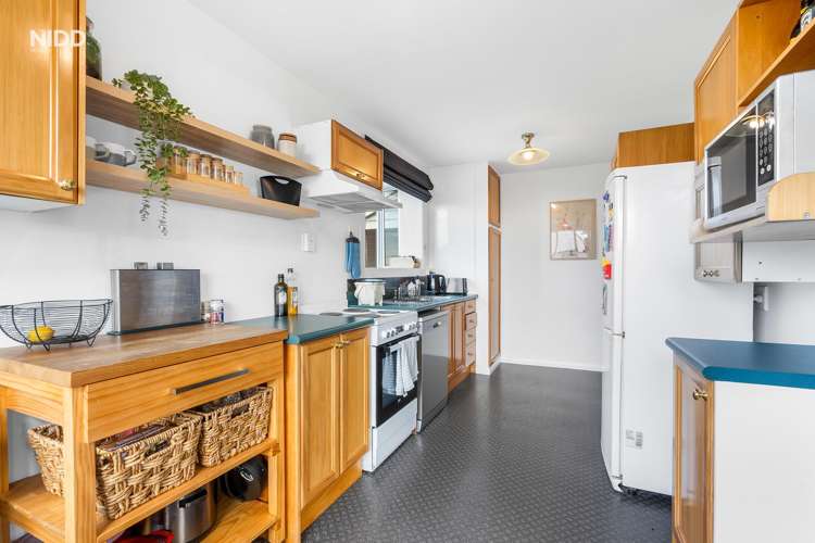 111 Ashmore Street Halfway Bush_4