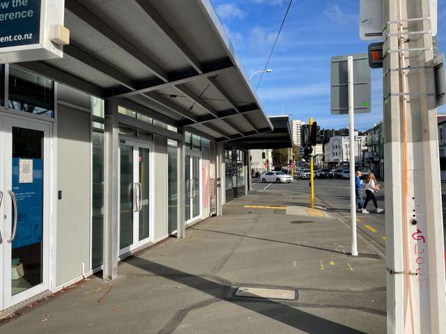 D/309 Willis Street Te Aro_4