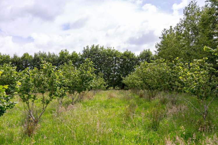 179 Bidwills Cutting Road Greytown_8