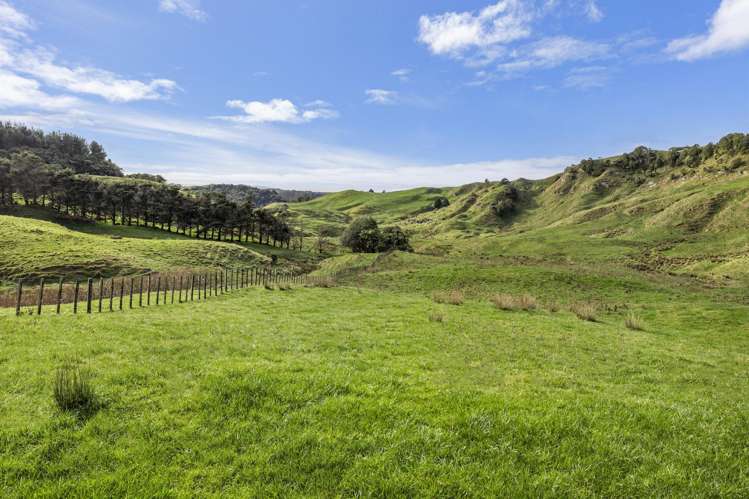 279 Taumatatotara Road Te Kuiti_22