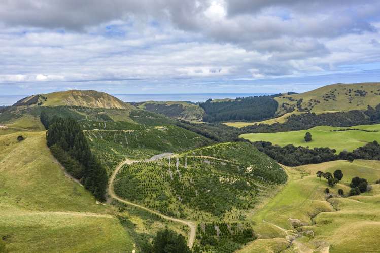 422 Glendhu Road Motunau_19