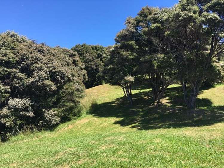 75 Tarapatiki Drive Whitianga_5