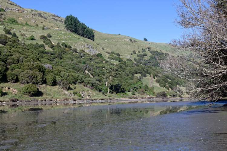 115 Dalglishs Road Le Bons Bay_17