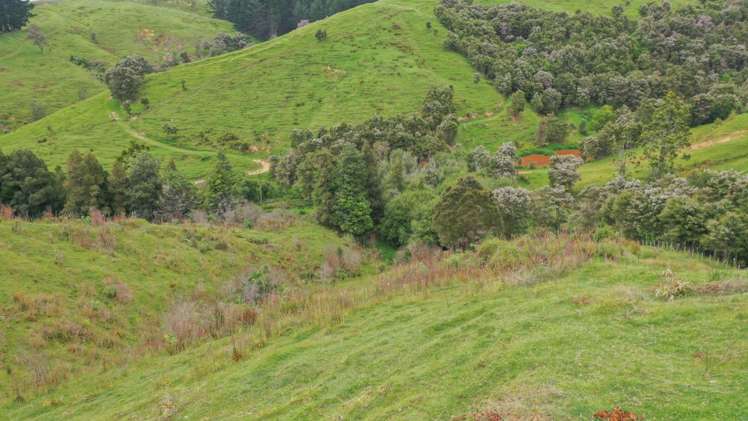 944 Waiti Road Tahuna_9