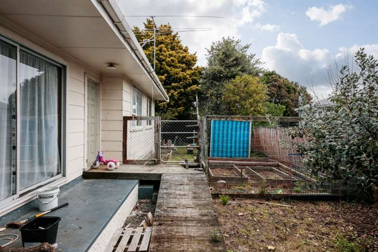 17 Martin Road Outer Kaiti_9