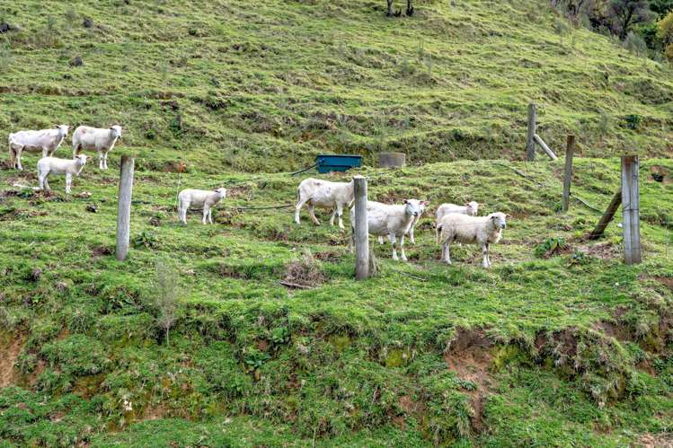 1344 Otara Rd Opotiki_11