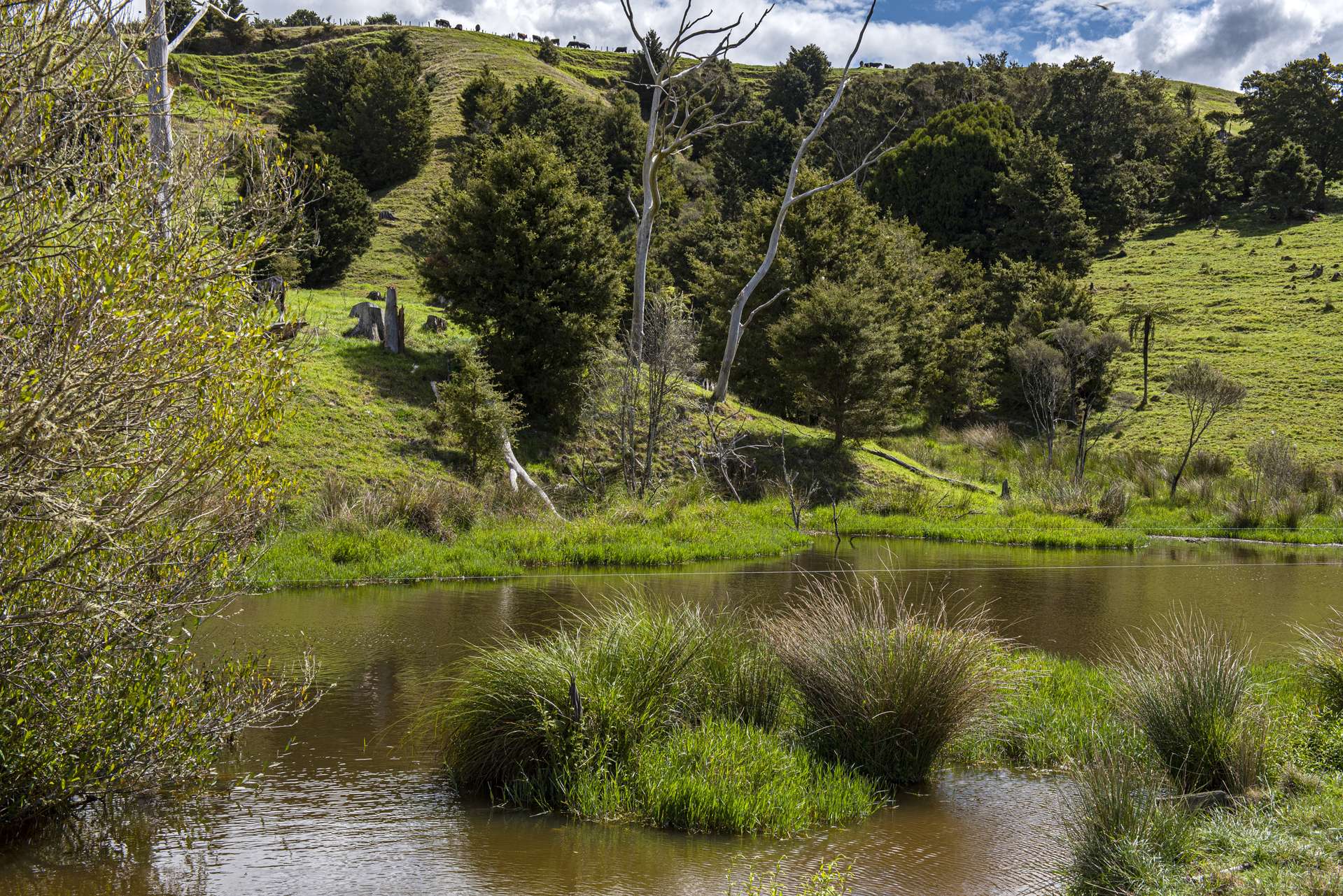 Mine Road Whakapara_0