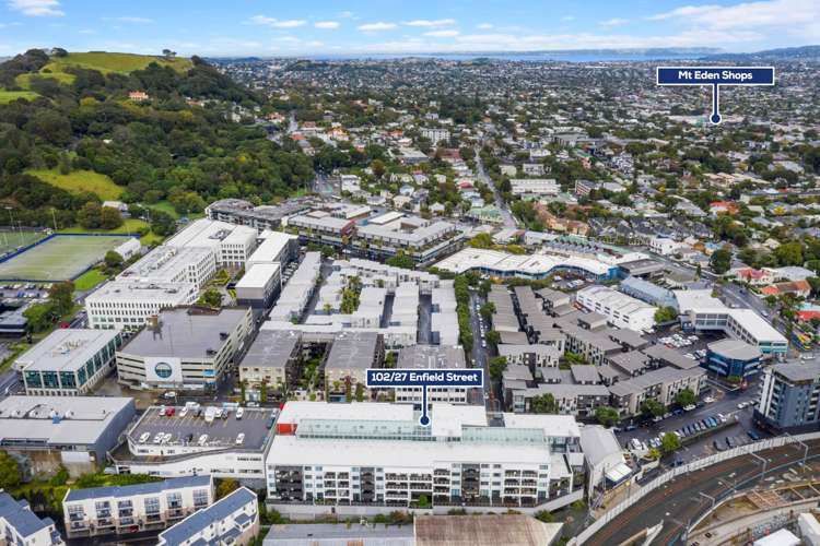 102/27 Enfield Street Mt Eden_14