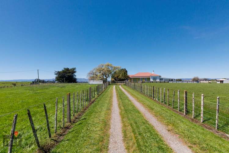180 Ranfurly Road Feilding_3