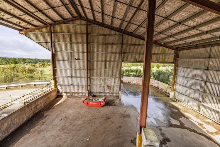 79 Thorpe Road Kaikohe_16