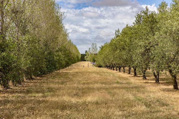 179 Racecourse Road Amberley_37