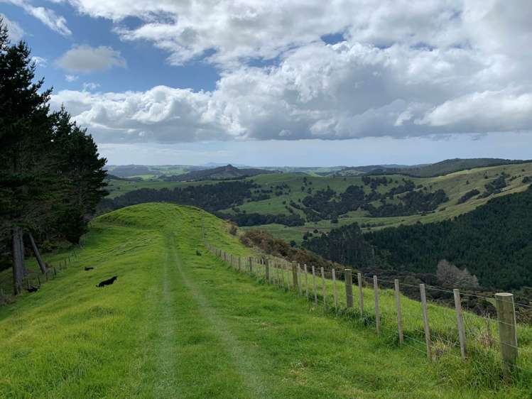 297a Wilson Road Wellsford_26