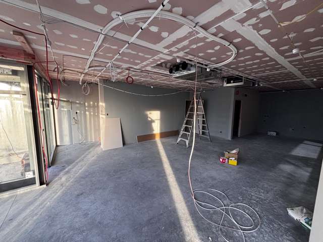 115 Nelson Street Petone_2